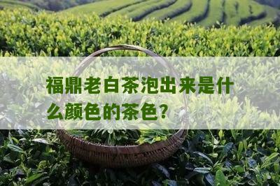 福鼎老白茶泡出来是什么颜色的茶色？