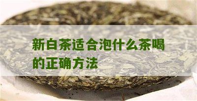 新白茶适合泡什么茶喝的正确方法