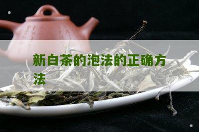 新白茶的泡法的正确方法