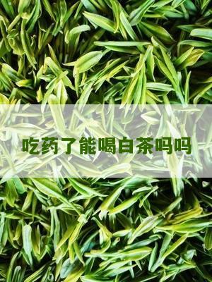 吃药了能喝白茶吗吗