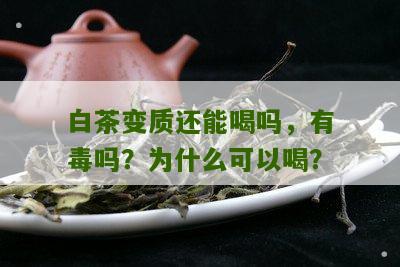 白茶变质还能喝吗，有毒吗？为什么可以喝？