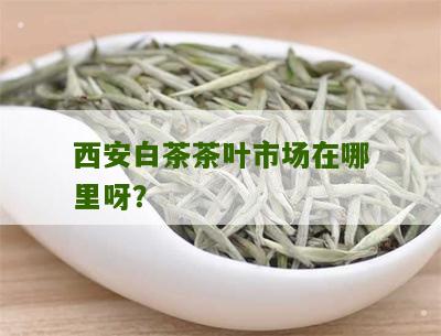 西安白茶茶叶市场在哪里呀？