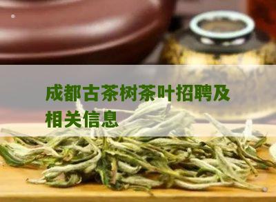 成都古茶树茶叶招聘及相关信息