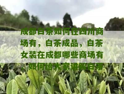 成都白茶如何在四川商场有，白茶成品，白茶女装在成都哪些商场有，如何给大家讲解白茶