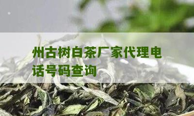 州古树白茶厂家代理电话号码查询