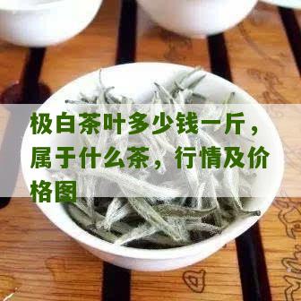 极白茶叶多少钱一斤，属于什么茶，行情及价格图