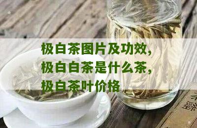 极白茶图片及功效, 极白白茶是什么茶, 极白茶叶价格