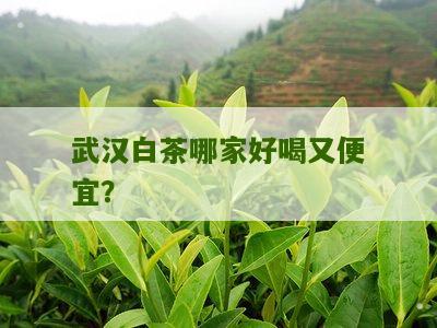 武汉白茶哪家好喝又便宜？