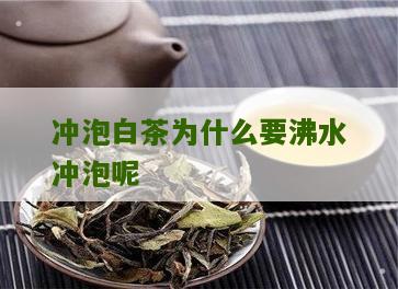 冲泡白茶为什么要沸水冲泡呢