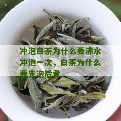 冲泡白茶为什么要沸水冲泡一次，白茶为什么要先泡后煮