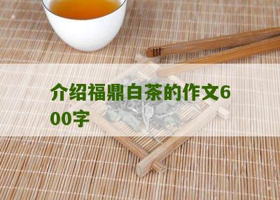 介绍福鼎白茶的作文600字