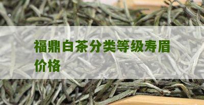 福鼎白茶分类等级寿眉价格