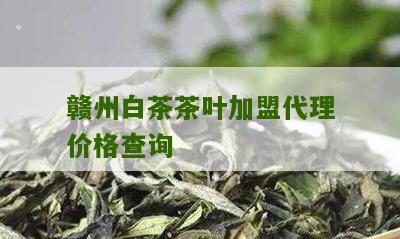 赣州白茶茶叶加盟代理价格查询