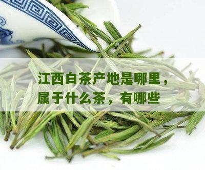 江西白茶产地是哪里，属于什么茶，有哪些