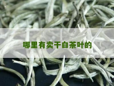 哪里有卖干白茶叶的