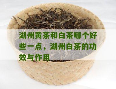 湖州黄茶和白茶哪个好些一点，湖州白茶的功效与作用