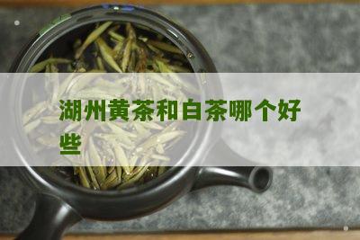 湖州黄茶和白茶哪个好些