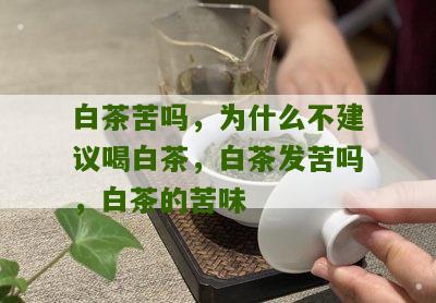 白茶苦吗，为什么不建议喝白茶，白茶发苦吗，白茶的苦味