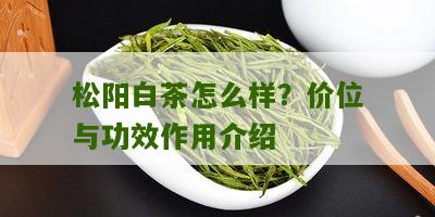 松阳白茶怎么样？价位与功效作用介绍