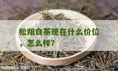 松阳白茶现在什么价位，怎么样？