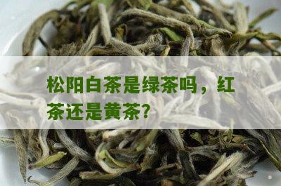 松阳白茶是绿茶吗，红茶还是黄茶？