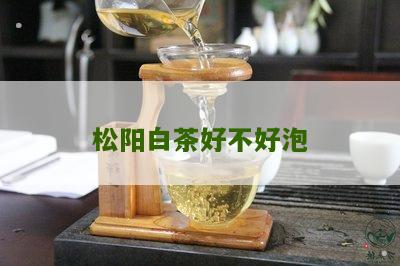 松阳白茶好不好泡