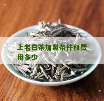 上老白茶加盟条件和费用多少