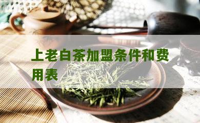 上老白茶加盟条件和费用表