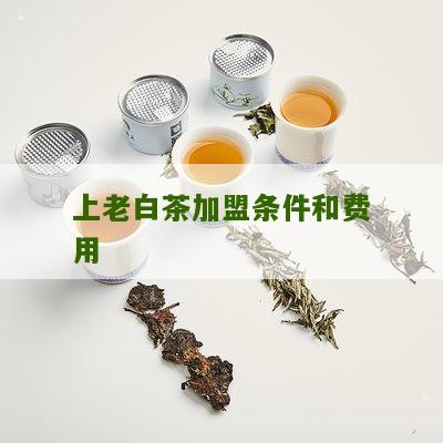 上老白茶加盟条件和费用