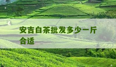 安吉白茶批发多少一斤合适