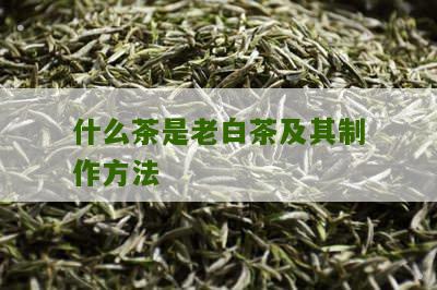 什么茶是老白茶及其制作方法