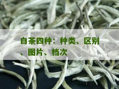 白茶四种：种类、区别、图片、档次