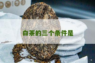 白茶的三个条件是