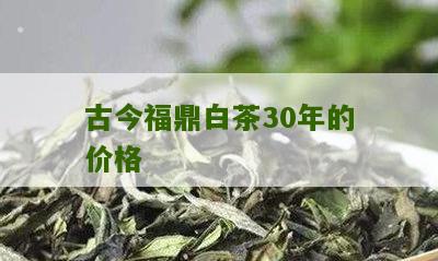 古今福鼎白茶30年的价格