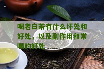 喝老白茶有什么坏处和好处，以及副作用和常喝的好处