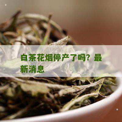 白茶花烟停产了吗？最新消息