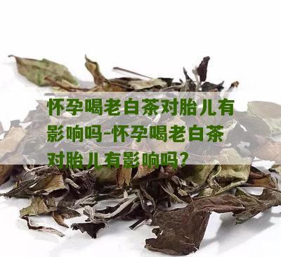 怀孕喝老白茶对胎儿有影响吗-怀孕喝老白茶对胎儿有影响吗?