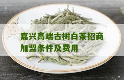 嘉兴高端古树白茶招商加盟条件及费用