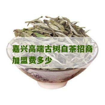 嘉兴高端古树白茶招商加盟费多少