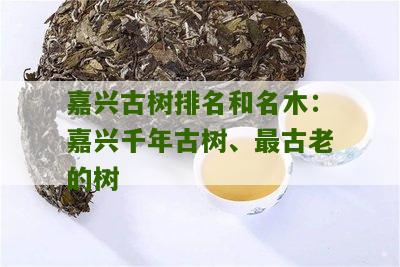 嘉兴古树排名和名木：嘉兴千年古树、最古老的树