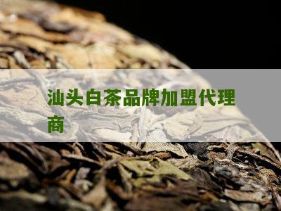 汕头白茶品牌加盟代理商