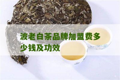 波老白茶品牌加盟费多少钱及功效