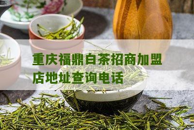 重庆福鼎白茶招商加盟店地址查询电话