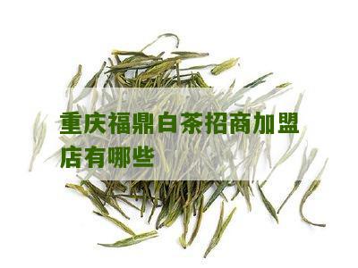 重庆福鼎白茶招商加盟店有哪些