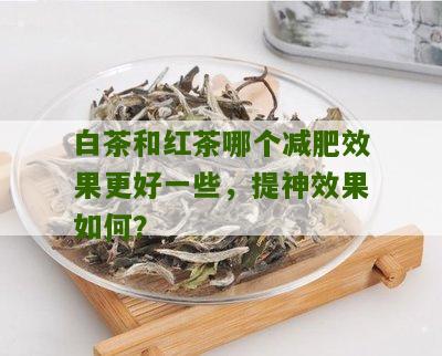 白茶和红茶哪个减肥效果更好一些，提神效果如何？