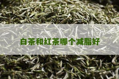 白茶和红茶哪个减脂好