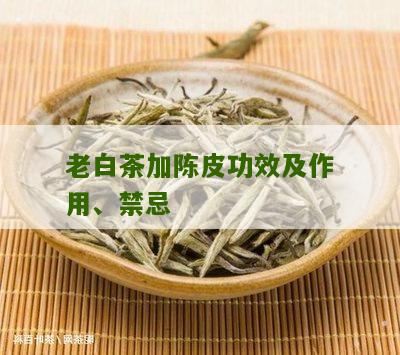 老白茶加陈皮功效及作用、禁忌