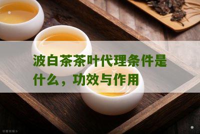 波白茶茶叶代理条件是什么，功效与作用