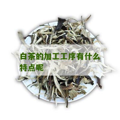 白茶的加工工序有什么特点呢