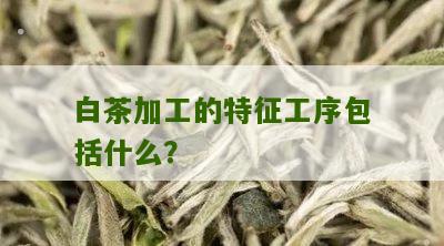 白茶加工的特征工序包括什么？